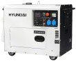 Дизельный генератор Hyundai DHY 6000SE с АВР